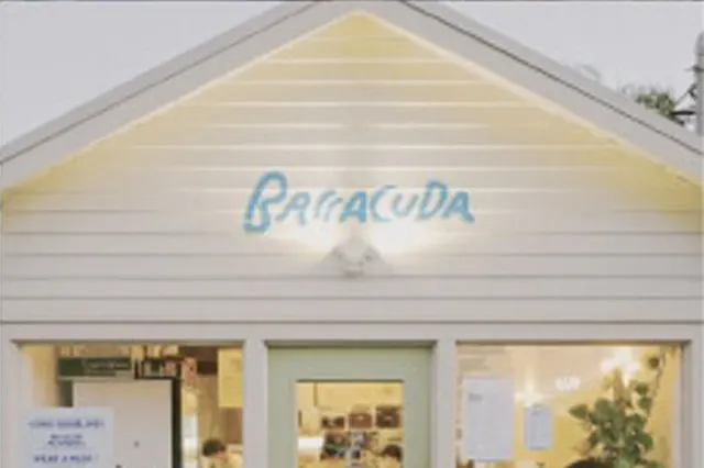 Barracuda